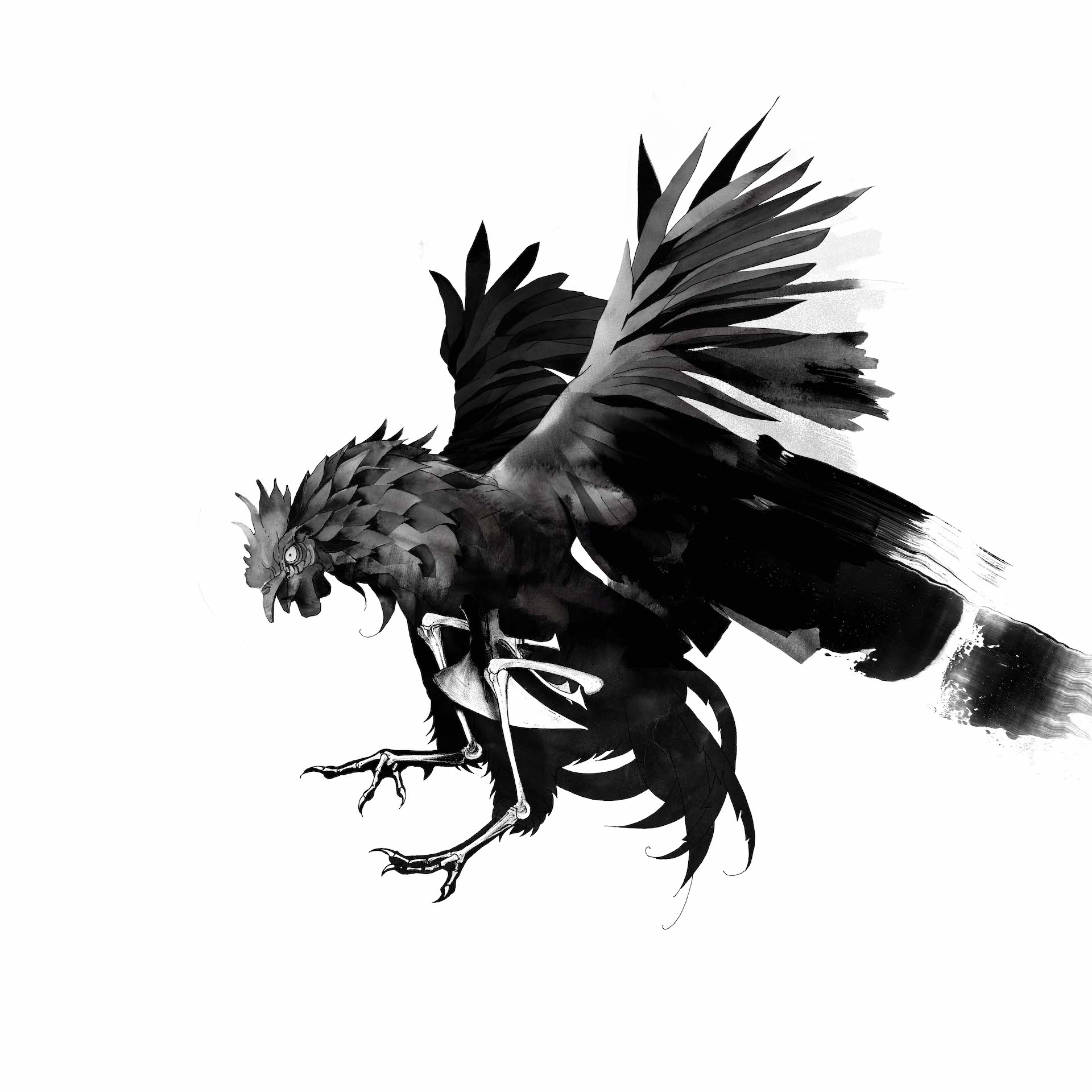 YATAY Artwork Rooster H Bones.jpg