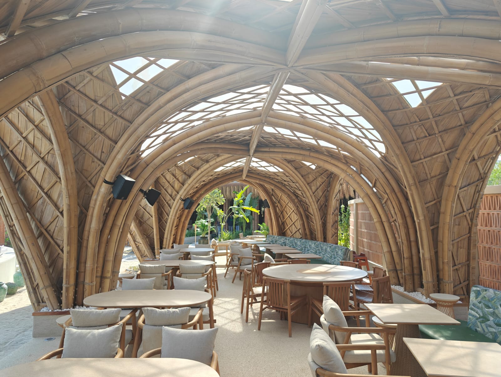 WhatsApp Image 2024-12-05 at 15.06.58_89d77e9a.jpg