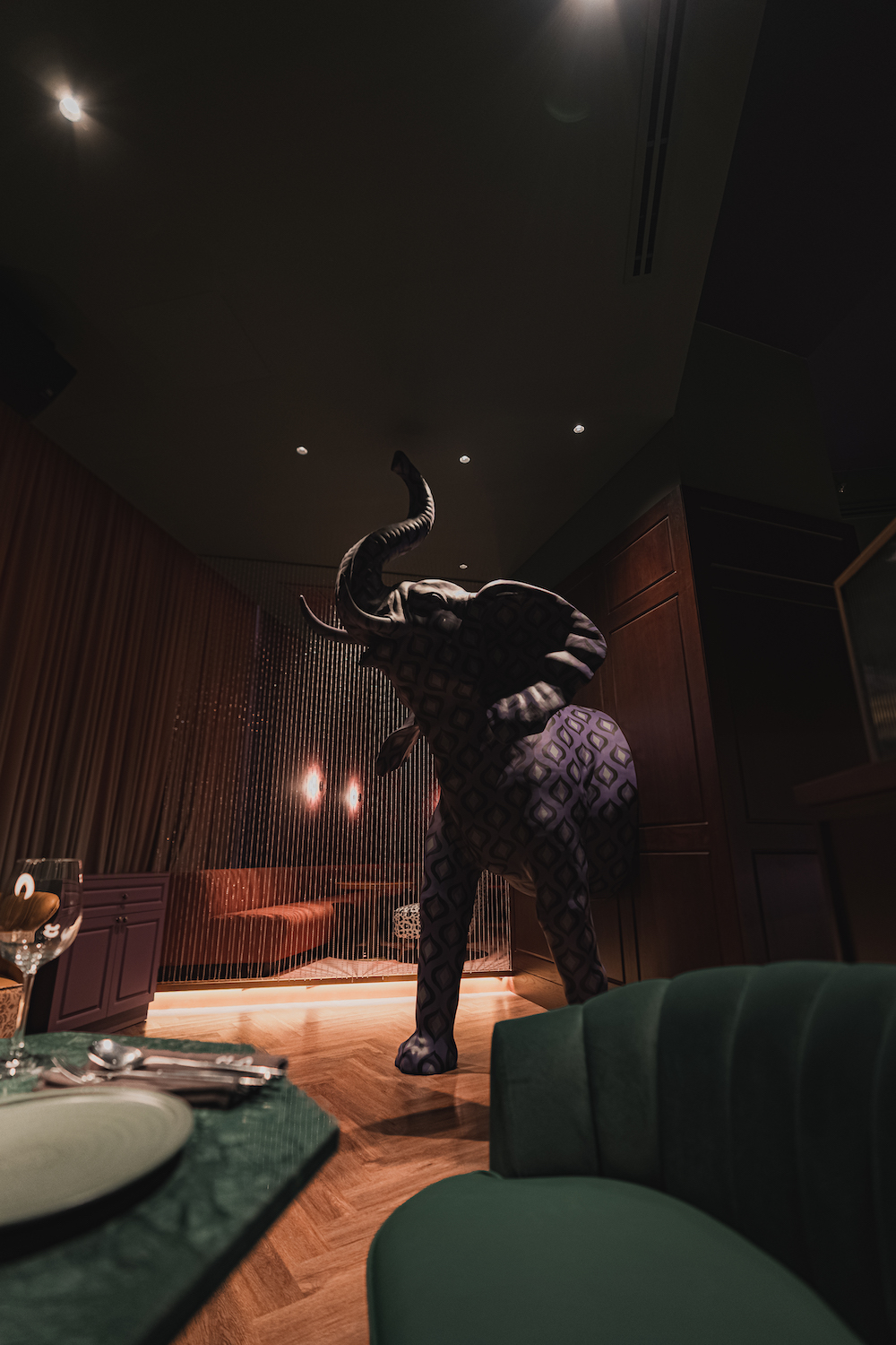 FLYING ELEPHANT_GIJSPARADIJS-44.jpg