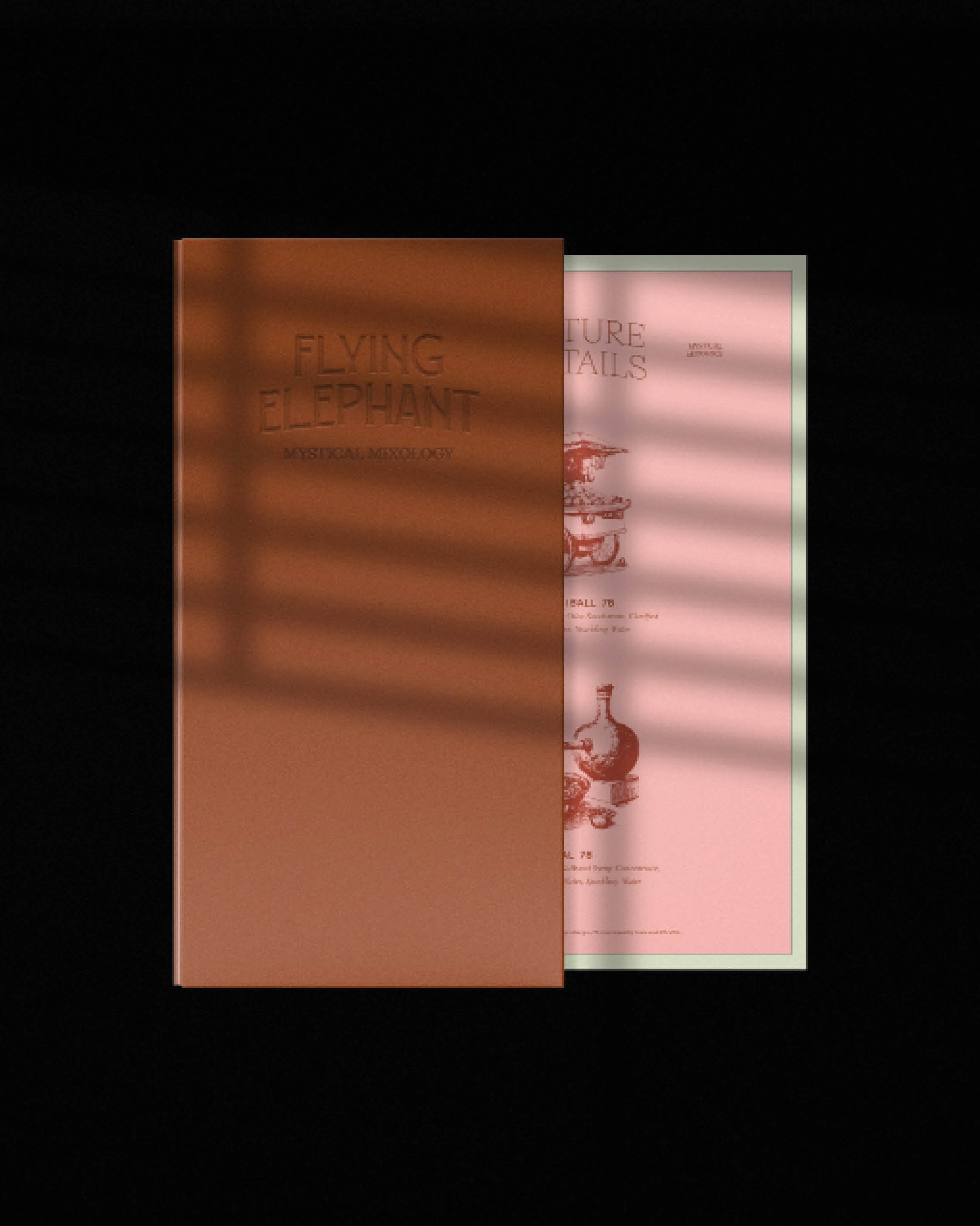 Flying Elephant9.jpg