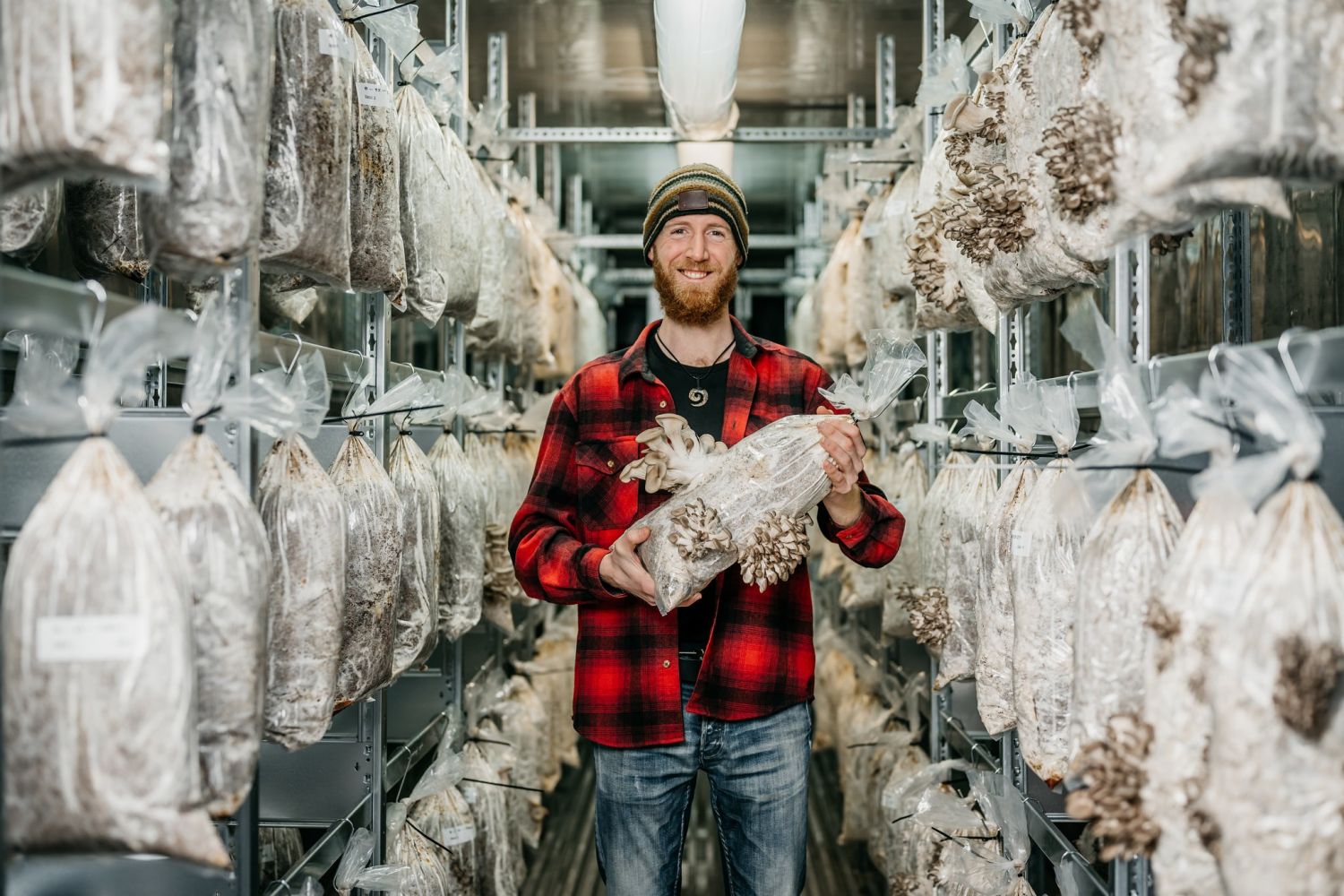 Visiting the Clique, Utrecht