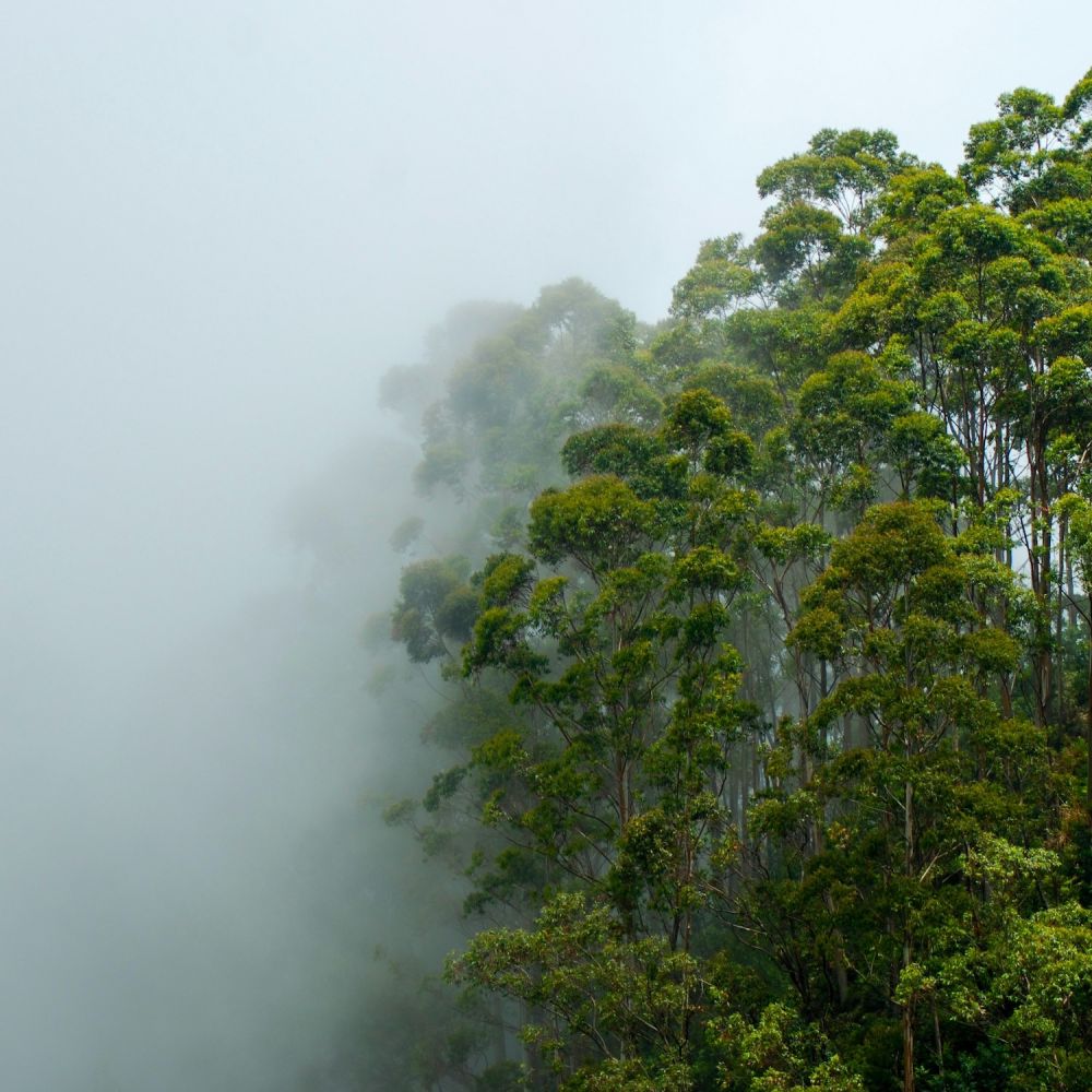 Happiness Index in motion