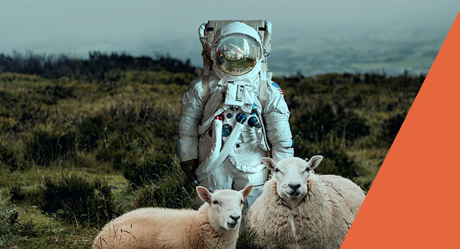 Designing for a sustainable future